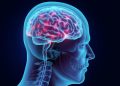 Challenges to the implementation of stroke thrombolysis