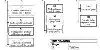 Figure 4: TNM staging of BIA-ALCL